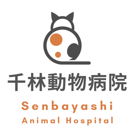 千林動物病院（大阪市旭区大宮の動物病院）